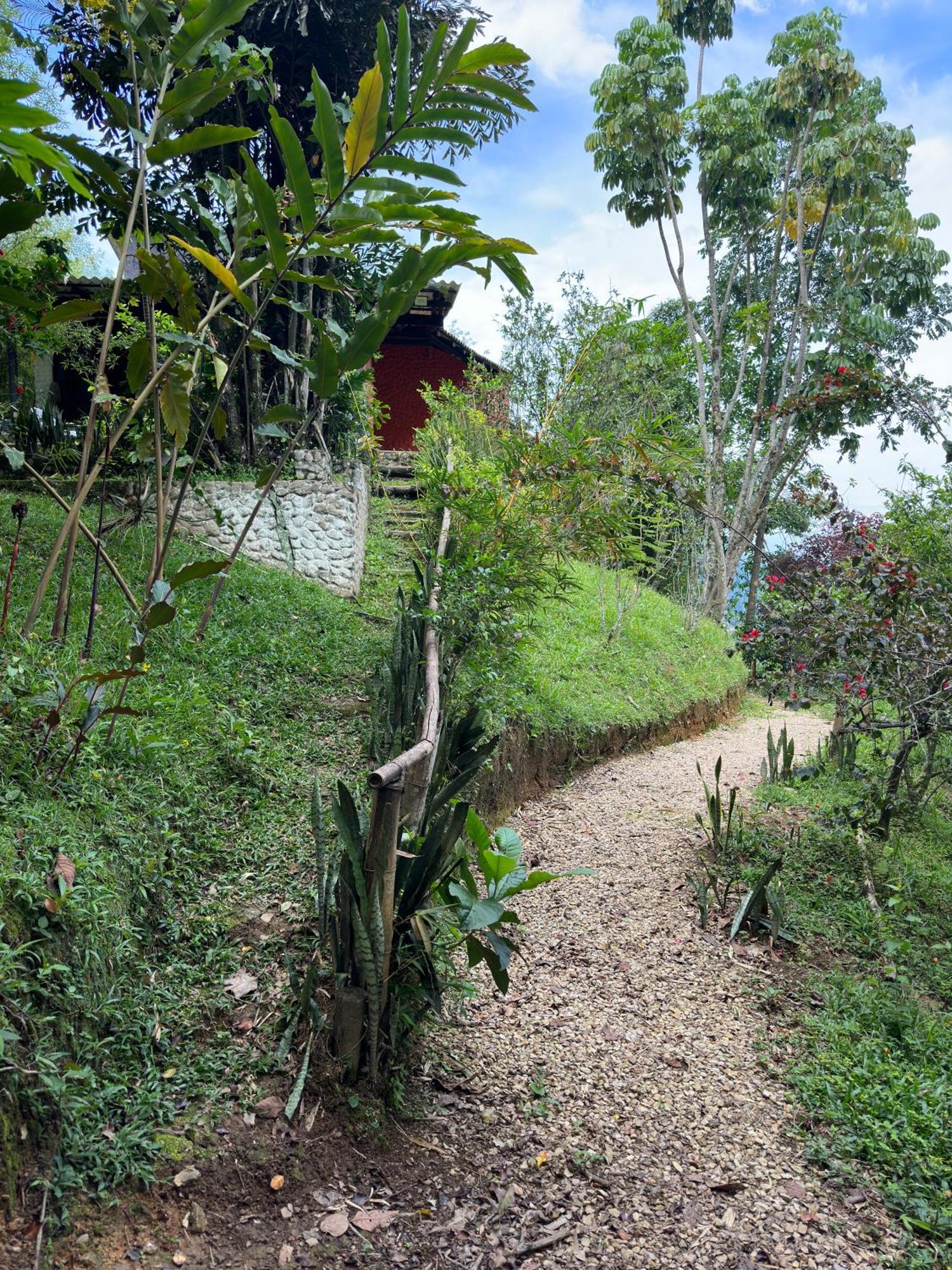 Jaragual Hostel "Eco Hostal" 拉维加 客房 照片